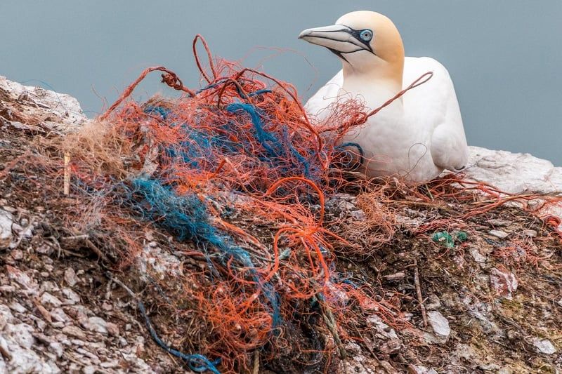 Équerre plastique 2026 : comment bien la choisir pour vos travaux de précision