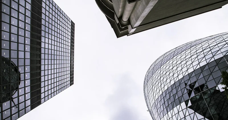 Traitement blattes en immeuble : qui paie, qui agit, quelles obligations ?