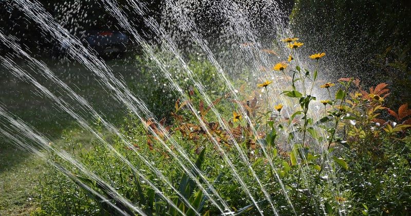 Jardin : 7 techniques innovantes pour transformer votre espace vert
