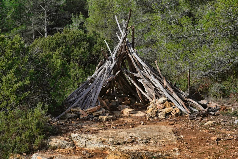 Le guide étape par étape pour une cabane qui tient la route