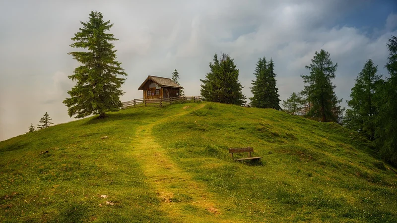 Le guide pas à pas pour une cabane qui tient le coup